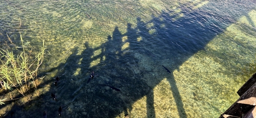 Brckenspiegelung im Wasser