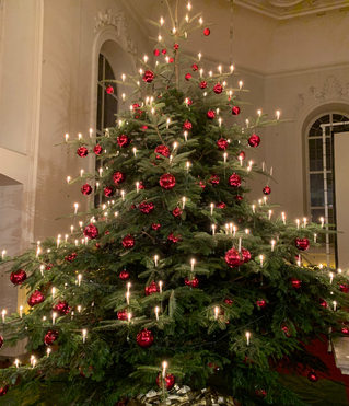 Stdtischer Weihnachtsbaum in der Stadtkirche Brugg